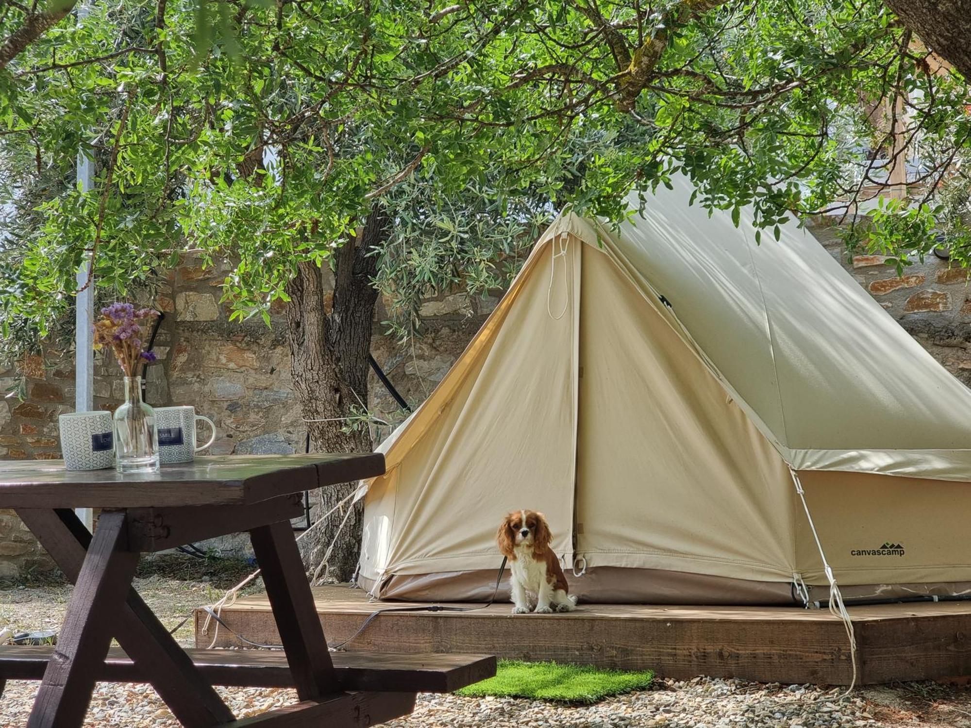 Anassa Cycladic Village ガリッサス 部屋 写真