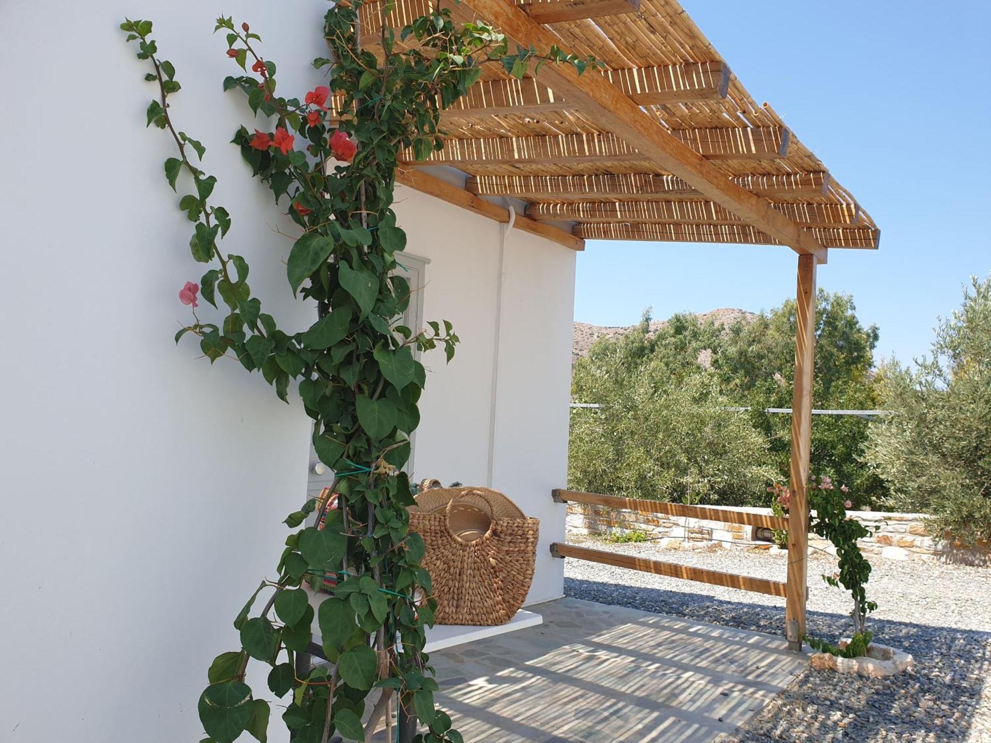 Anassa Cycladic Village ガリッサス 部屋 写真